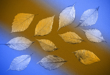 autumn leaves lie on bright paper background image