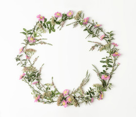 Beautiful and tender wreath frame with pink daisies, branches, leaves and petals on white...