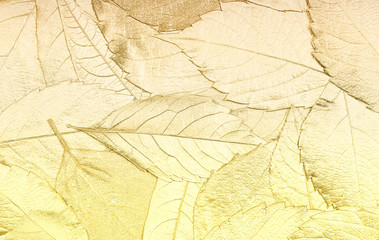 autumn leaves lie on bright paper background image