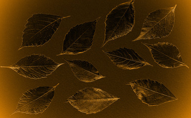 autumn leaves lie on bright paper background image