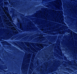 autumn leaves lie on bright paper background image