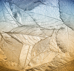 autumn leaves lie on bright paper background image