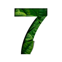 Lefas number 7 made of Real alive leafs with Precious paper cut shape of number. Leafs font.