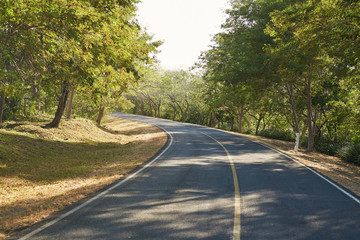 Obraz premium Left turn on country road