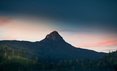 Fototapeta na wymiar Sri Pada, Adam's peak in Sri Lanka
