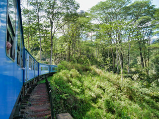 train ride to kandy, sri lanka 