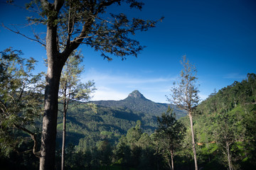 Obraz premium Sri Pada, Adam's peak in Sri Lanka