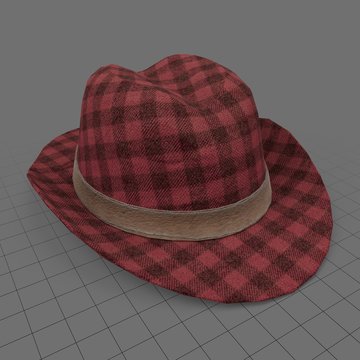 Checked hat