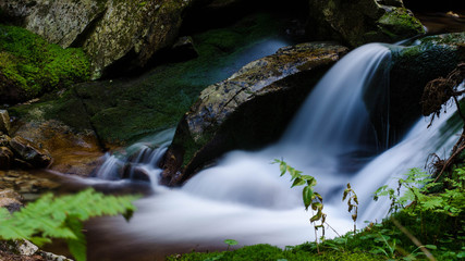 waterfall in the forest