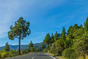 Voyage au bout du monde