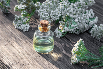 A bottle of essential oil with blooming yarrow