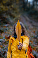 female hand picking up an orange leaf, woman with yellow coat