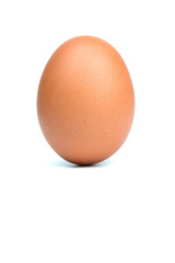 Single brown eggs isolated from white background with copy space for writing text.
