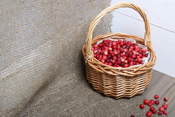 Basket filled with cranberries. It stands on a surface covered with linen cloth. Several berries are scattered on the surface.