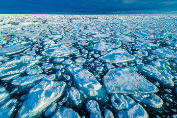 Ice pack in the Arctic Circle, Barentsoya, Svalbard, Norway