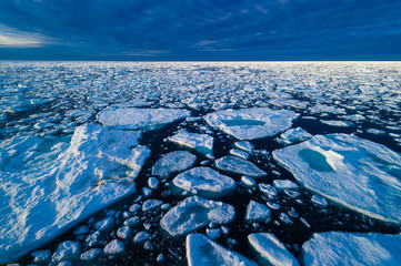 Ice pack in the Arctic Circle, Barentsoya, Svalbard, Norway - obrazy, fototapety, plakaty