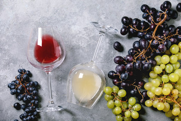 Traditional New european low alcohol red and white wine Federweisser or Neuer Wein, Burcak, Vin bourru in lying glasses with black and green grapes over grey concrete background. Flat lay, space