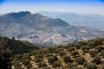 Panoramic view of the city of Quesada between fields of olive trees, near the natural park of Cazorla, Jaen province, Andalucia, Spain