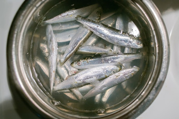 cooked sardines in metal pot
