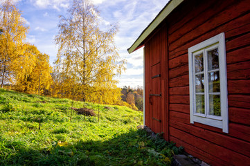 Lonely traditional red wooden cottage at fall in Lieto, Finland.