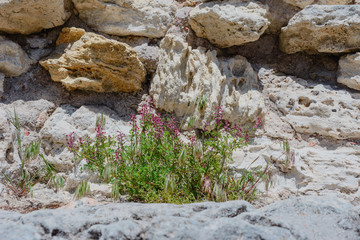 Old ruins- national archaeological park