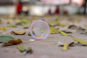 Cup lying in the Street with Leaves surrounding it