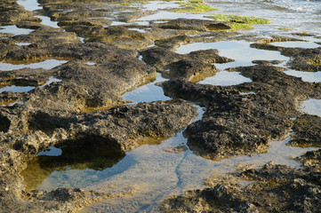 Fototapeta na wymiar Coral Bay Sea in Cyprus, summer on the island