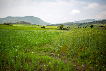 Obraz premium Lalibela - Ethiopia