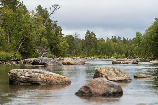 Rocks in a shallow river in the forest of Jamtland, Sweden. Shallow D.O.F.