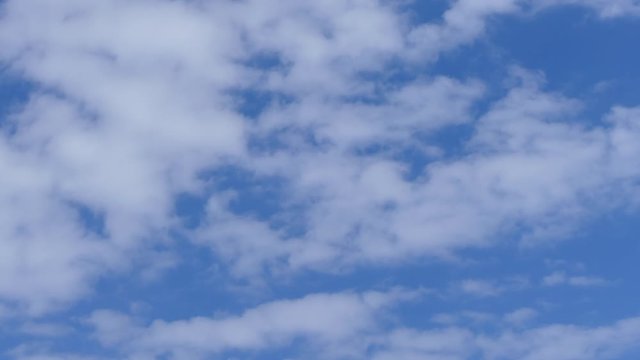A time-lapse of a blue sky filled with Cumulus clouds passing by and look like floating cotton.