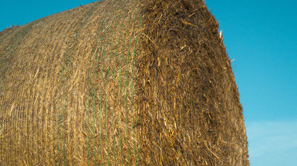 Close up image of a hay bale. Hay bales on a field. Agriculture field with beautiful blue sky. Sunset in the early autumn. Harvest concept.