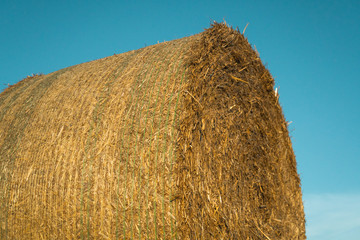 Close up image of a hay bale. Hay bales on a field. Agriculture field with beautiful blue sky. Sunset in the early autumn. Harvest concept.