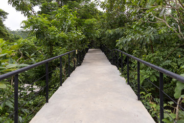 Obraz premium Cement bridge to the jungle.Cement-built bridge For forest walkways