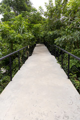 Obraz premium Cement bridge to the jungle.Cement-built bridge For forest walkways