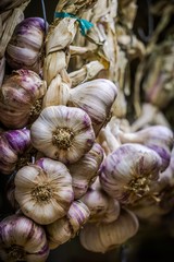 Garlic in Provence