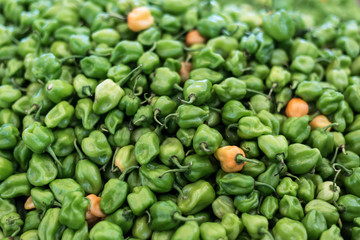 Habnero peppers stacked
