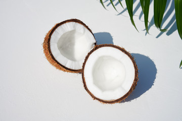 Halved ripe coconut on white background in direct sunlight, with tropical leaf in top right corner