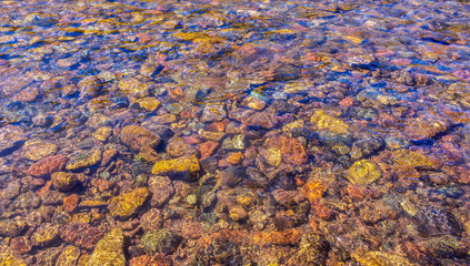 Coloful & Vibrant Stream Bottom in The Rocky Mountains