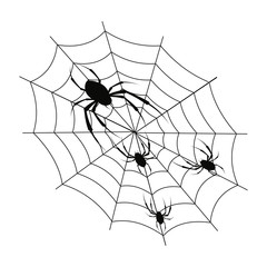 Spiders and spiderweb vector illustration.