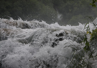 Wasser