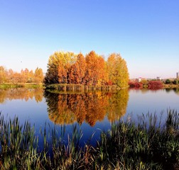 autumn landscape with lake and trees