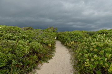 Fototapeta na wymiar sand trail in the middle of coastal vegetation and rain clouds on the Island of the Cardoso