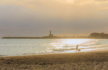Gargano coast: bay of Vieste, (Apulia) Italy. Girl with dog walking on the sandy beach at dawn:in...