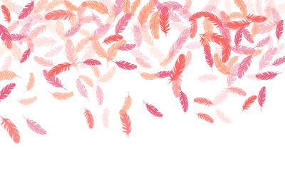 Detailed majestic feather on white design.