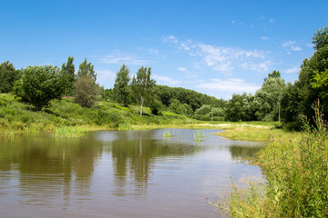 Summer lake, nature landscape sunny day