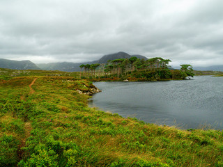 Cloudy day, Pine island, Connemara national Park, county Galway, Ireland.