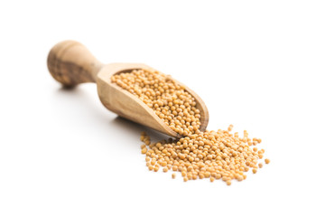 Yellow mustard seeds.