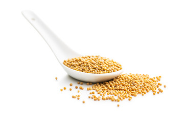 Yellow mustard seeds.