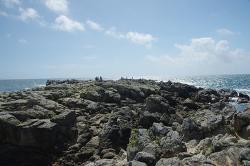 cote sauvage du croisic