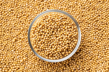 Yellow mustard seeds.